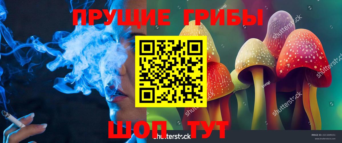 Псилоцибиновые грибы Psilocybe  Вход с VPN  Красноярск  Псилоцибиновые грибы GOLDEN TEACHER 